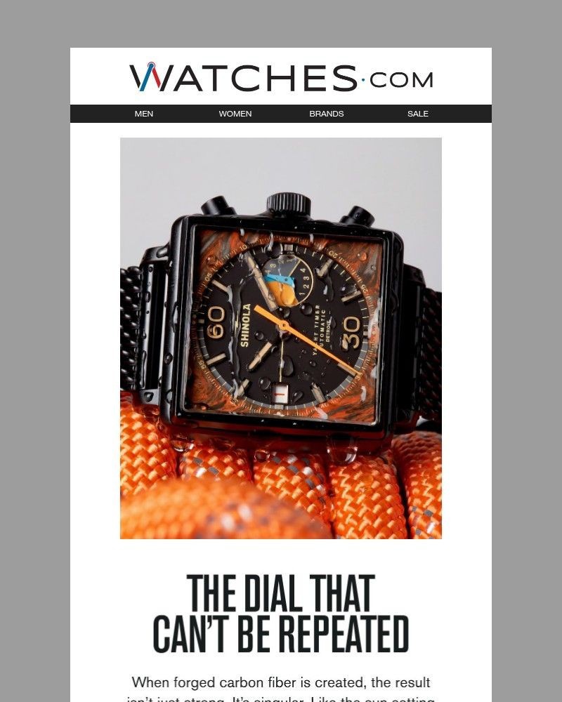 Screenshot of email sent to a Watches.com Newsletter subscriber