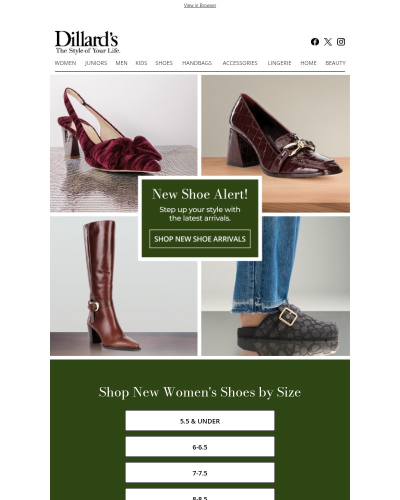 Screenshot of email with subject /media/emails/new-shoe-alert-cbf1ee-cropped-2354d69e.jpg