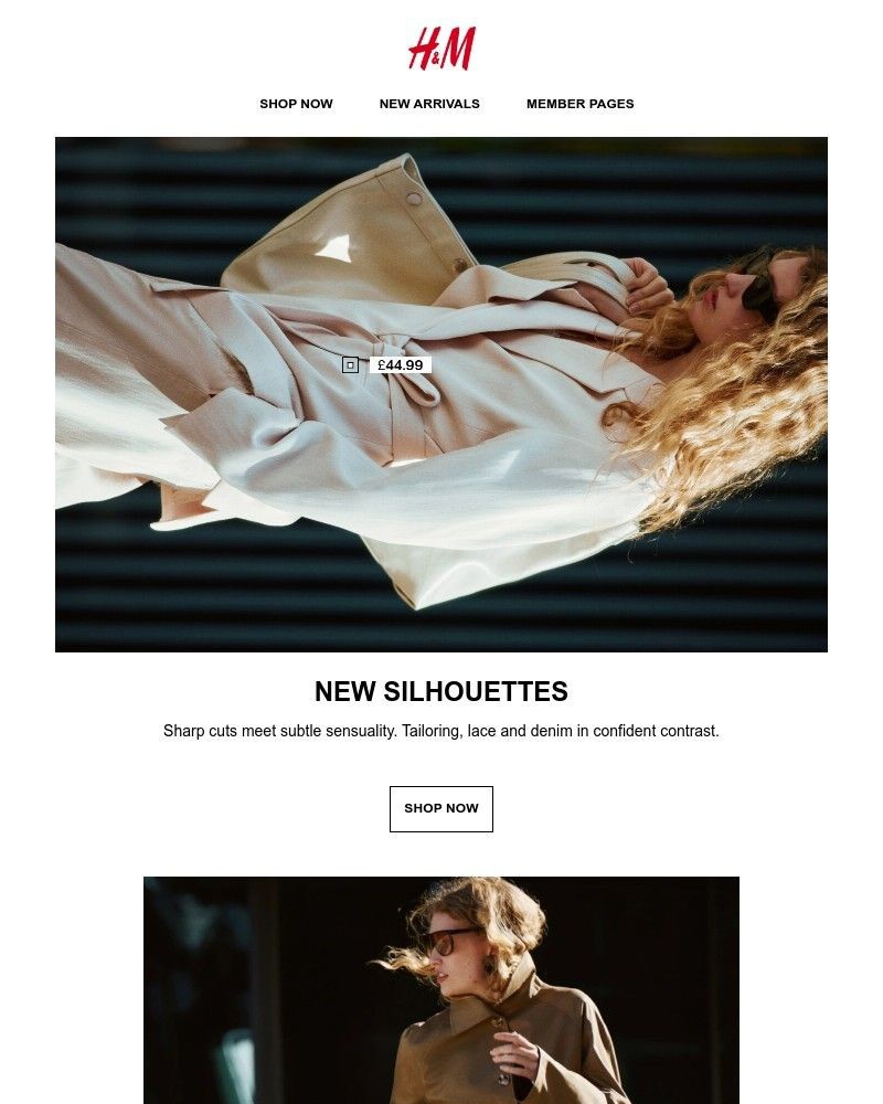 Screenshot of email sent to a H&M Newsletter subscriber