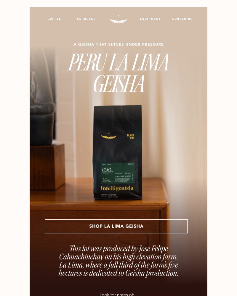 Screenshot of email with subject /media/emails/new-single-origin-espresso-la-lima-geisha-1233aa-cropped-6d47c791.jpg