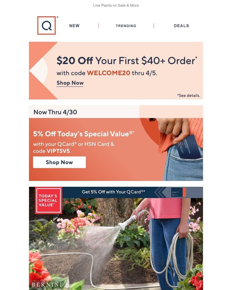 Screenshot of email with subject /media/emails/new-sizes-bernini-expandable-hose-get-20-off-514bea-cropped-2b4cd31b.jpg