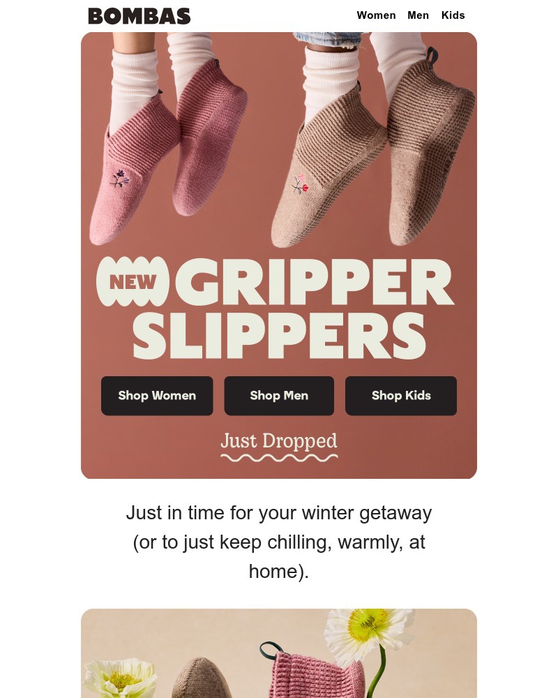 Screenshot of email with subject /media/emails/new-slippers-coming-in-toasty-e7fcb7-cropped-3ad69c28.jpg