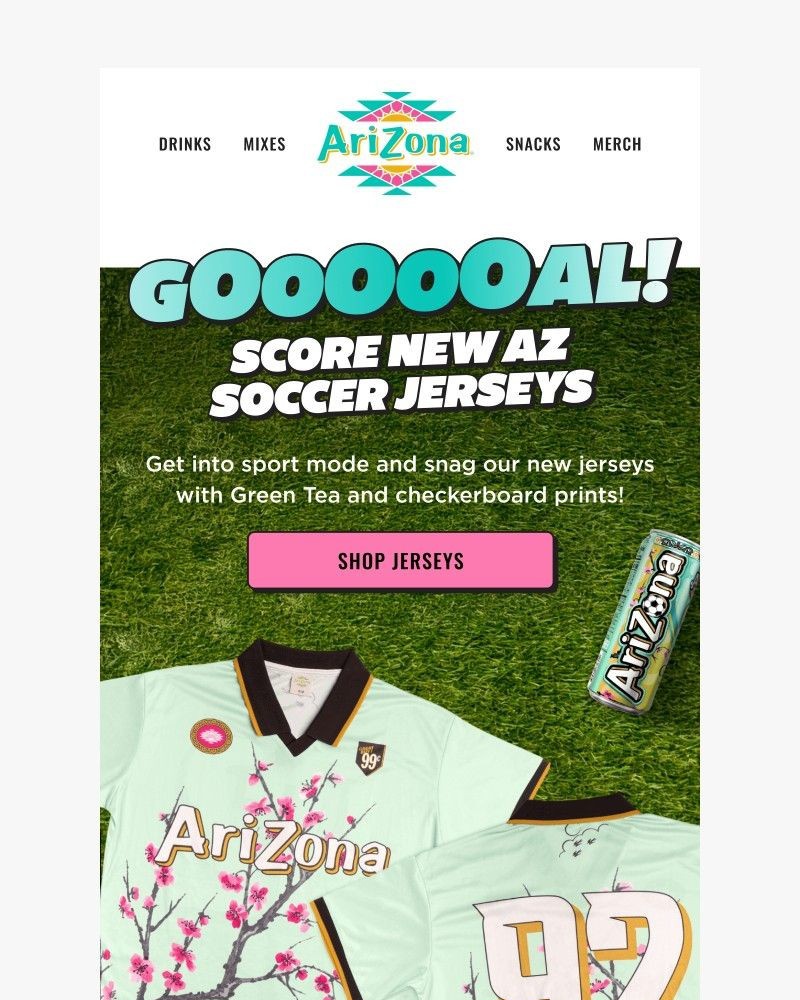 Screenshot of email sent to a AriZona Newsletter subscriber
