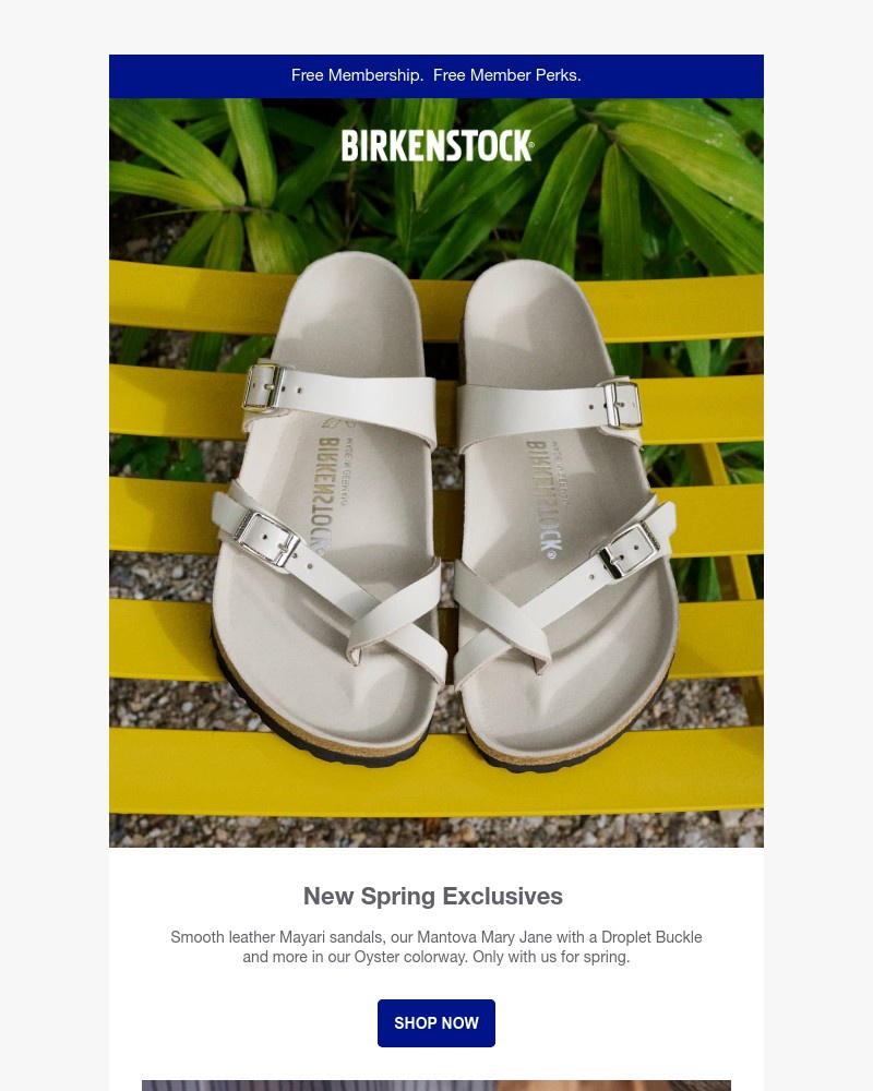 Screenshot of email with subject /media/emails/new-spring-releases-only-here-mayari-mantova-many-more-302cb1-cropped-b0f1de60.jpg