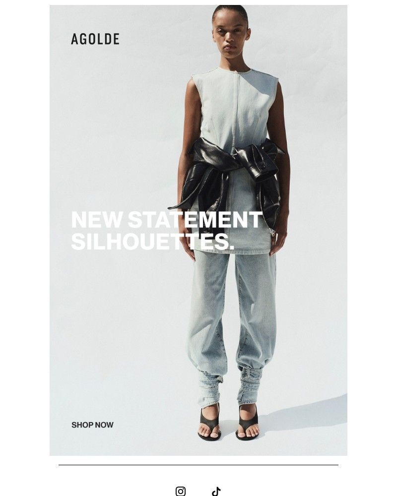 Screenshot of email sent to a Agolde Newsletter subscriber