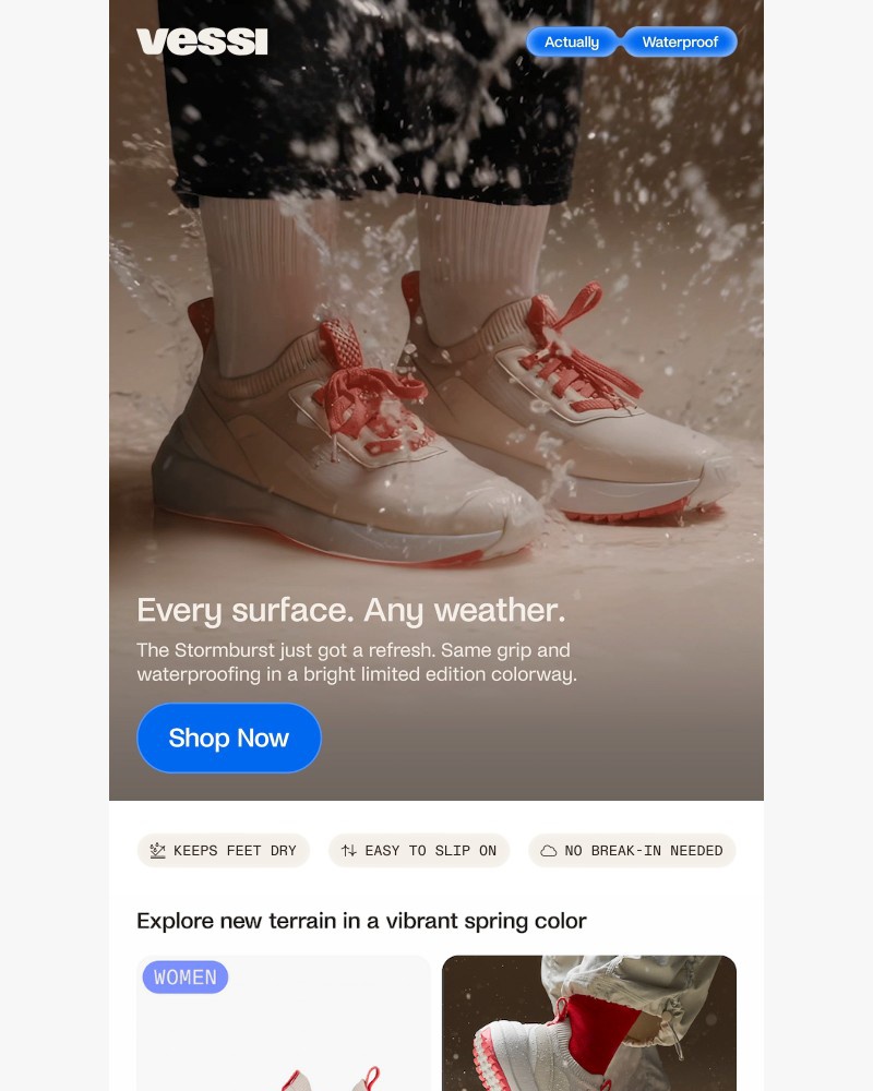 Screenshot of email sent to a Vessi Seller