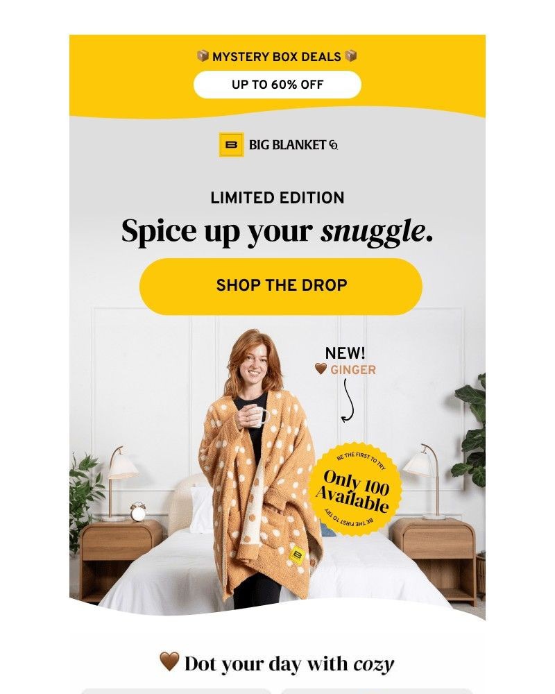 Screenshot of email with subject /media/emails/new-styles-just-dropped-732d42-cropped-b2333a6f.jpg