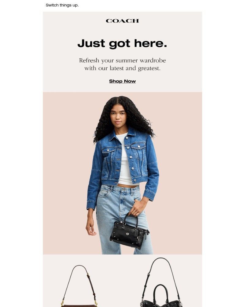 Screenshot of email with subject /media/emails/new-styles-just-dropped-84b8bc-cropped-5540b71b.jpg