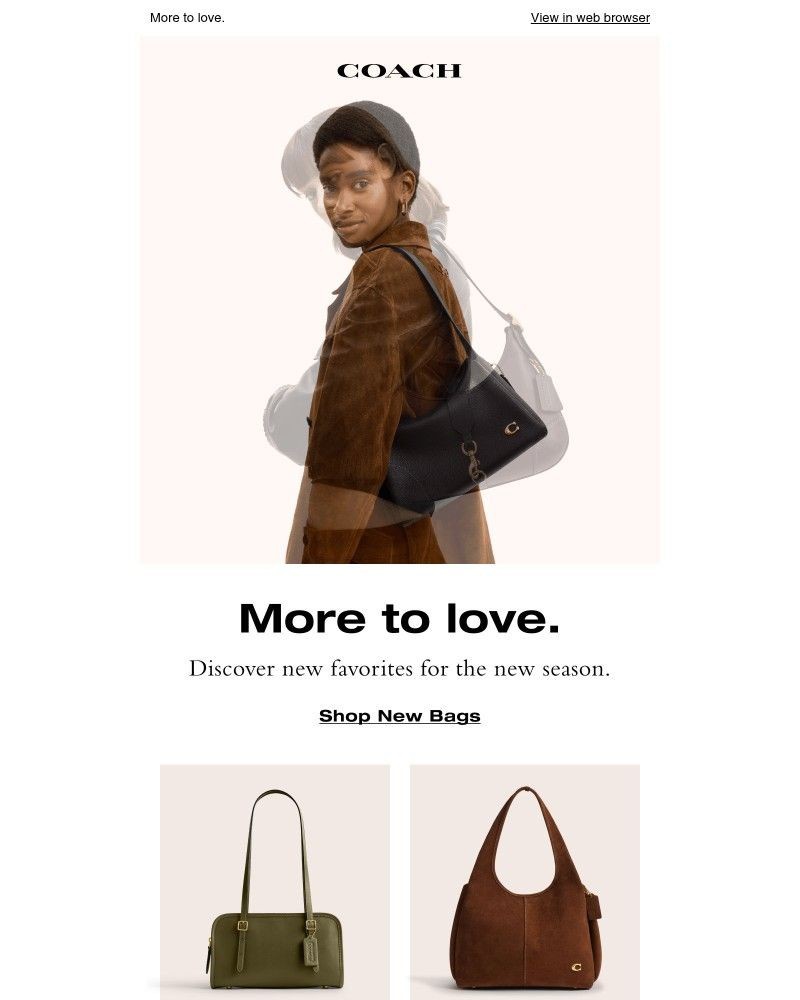 Screenshot of email with subject /media/emails/new-styles-just-dropped-930bef-cropped-60b8b28d.jpg