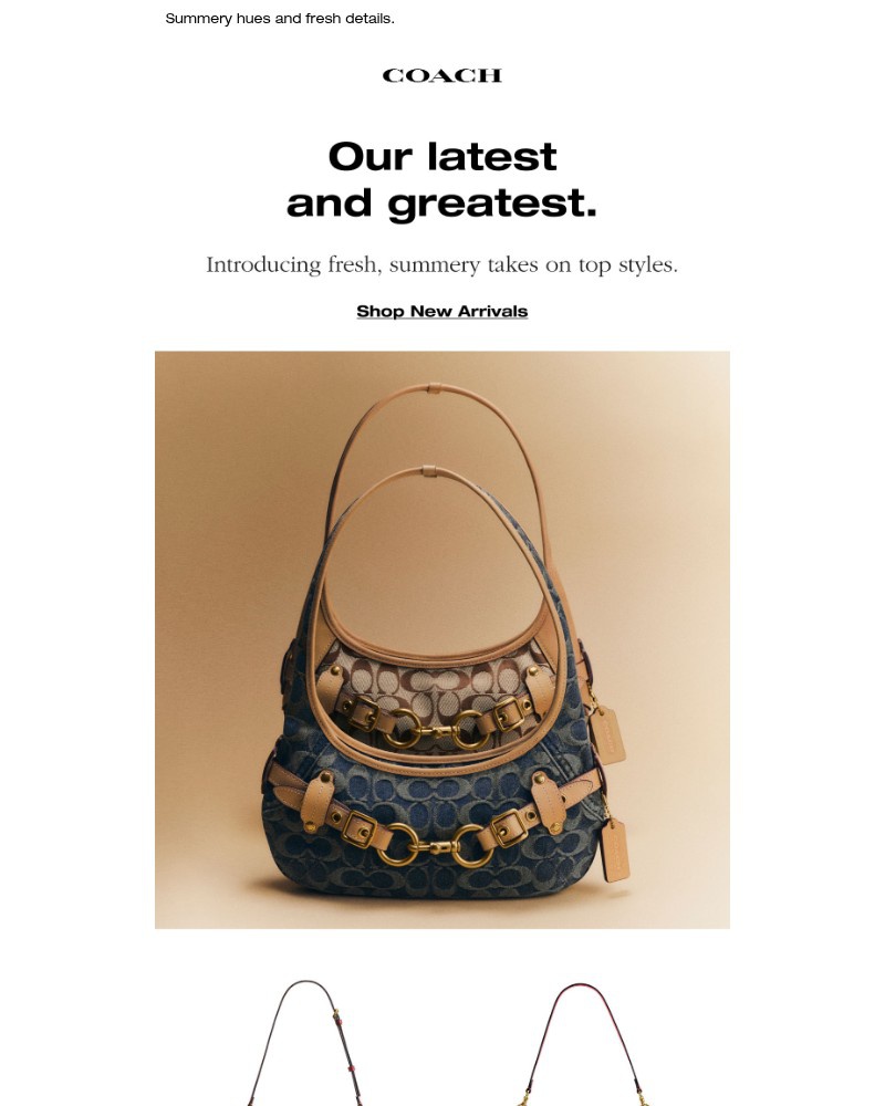 Screenshot of email with subject /media/emails/new-styles-just-dropped-bdb143-cropped-56f3f15f.jpg