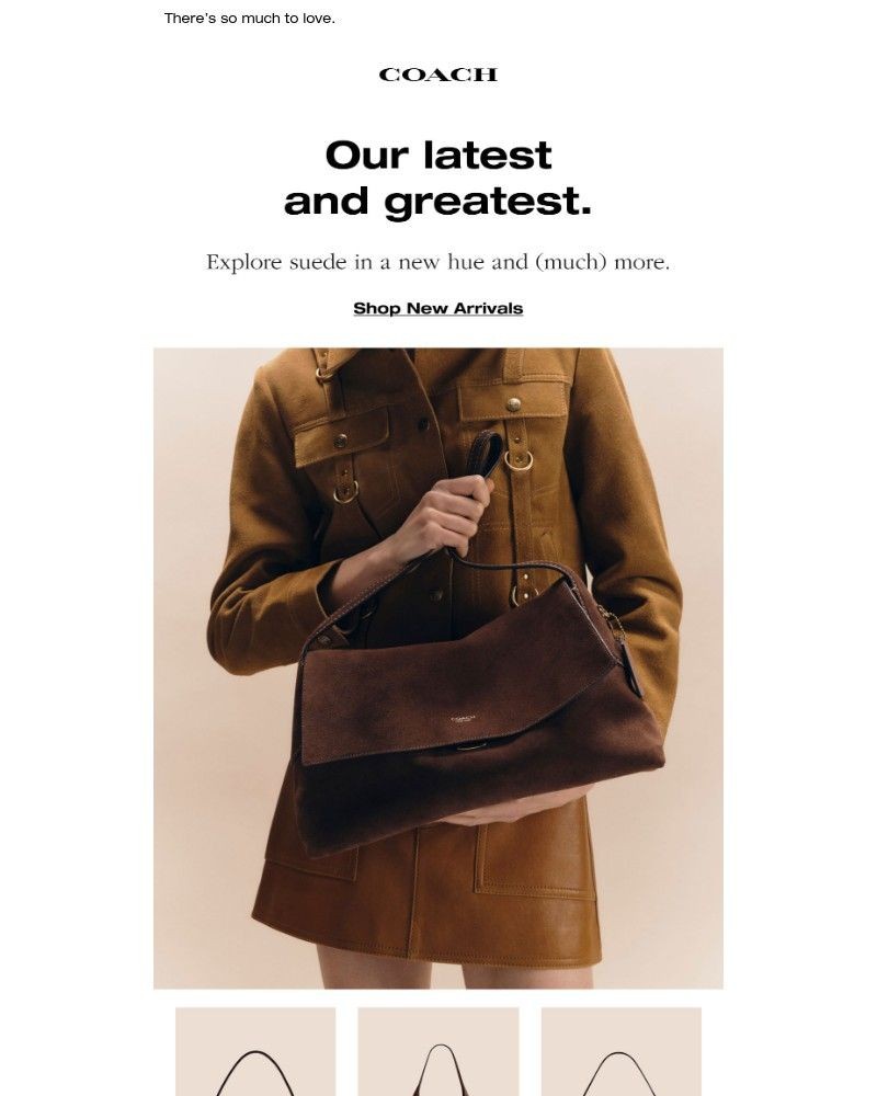 Screenshot of email with subject /media/emails/new-styles-just-dropped-c5a231-cropped-9f447a19.jpg