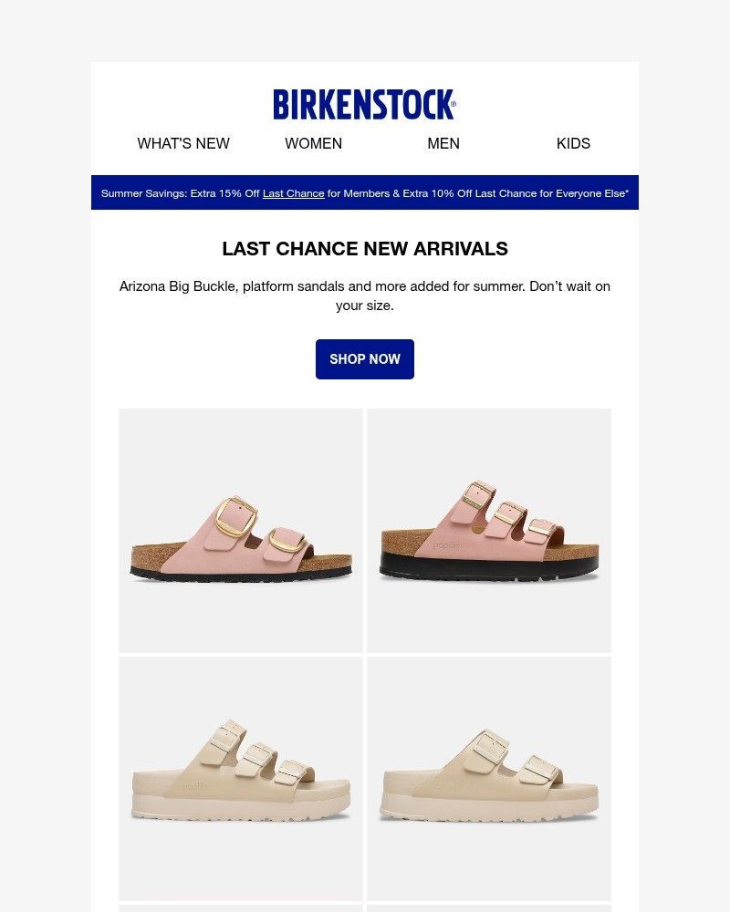 Screenshot of email sent to a Birkenstock Newsletter subscriber