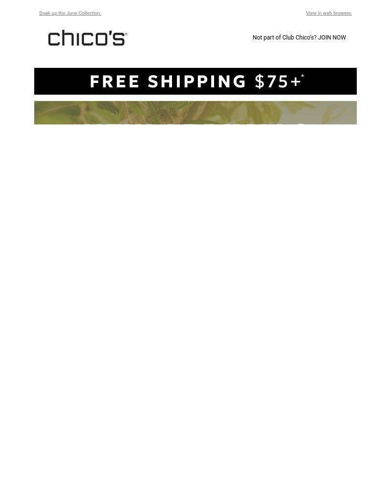 Screenshot of email with subject /media/emails/new-summer-arrivals-free-shipping-75-a08205-cropped-ee3b3b0a.jpg