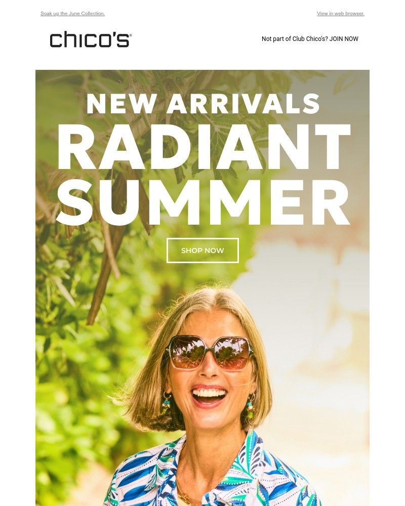 Screenshot of email with subject /media/emails/new-summer-arrivals-free-shipping-75-b11dc3-cropped-1d4c9d87.jpg