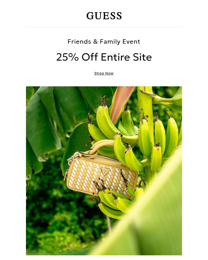 Screenshot of email with subject /media/emails/new-summer-bags-25-off-site-cfa813-cropped-95e99acf.jpg