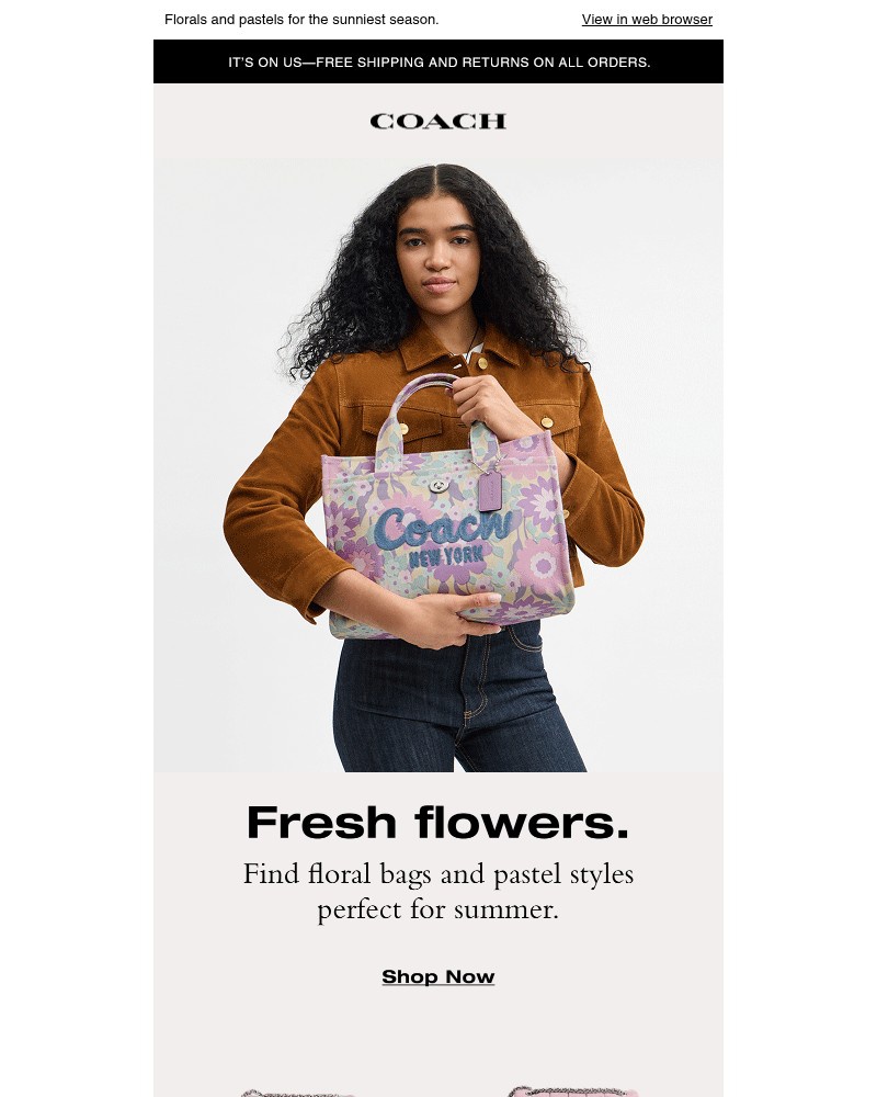 Screenshot of email with subject /media/emails/new-summer-bags-now-in-bloom-9bf051-cropped-ab4afdfe.jpg
