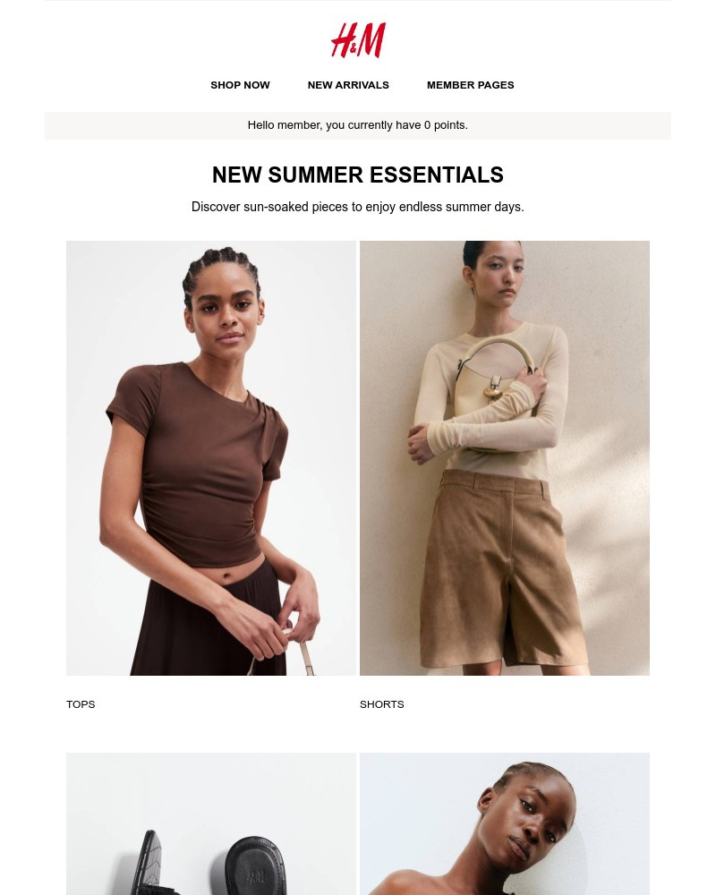 Screenshot of email with subject /media/emails/new-summer-essentials-f77af9-cropped-4afc9ca1.jpg