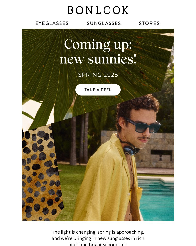 Screenshot of email sent to a Bonlook Newsletter subscriber