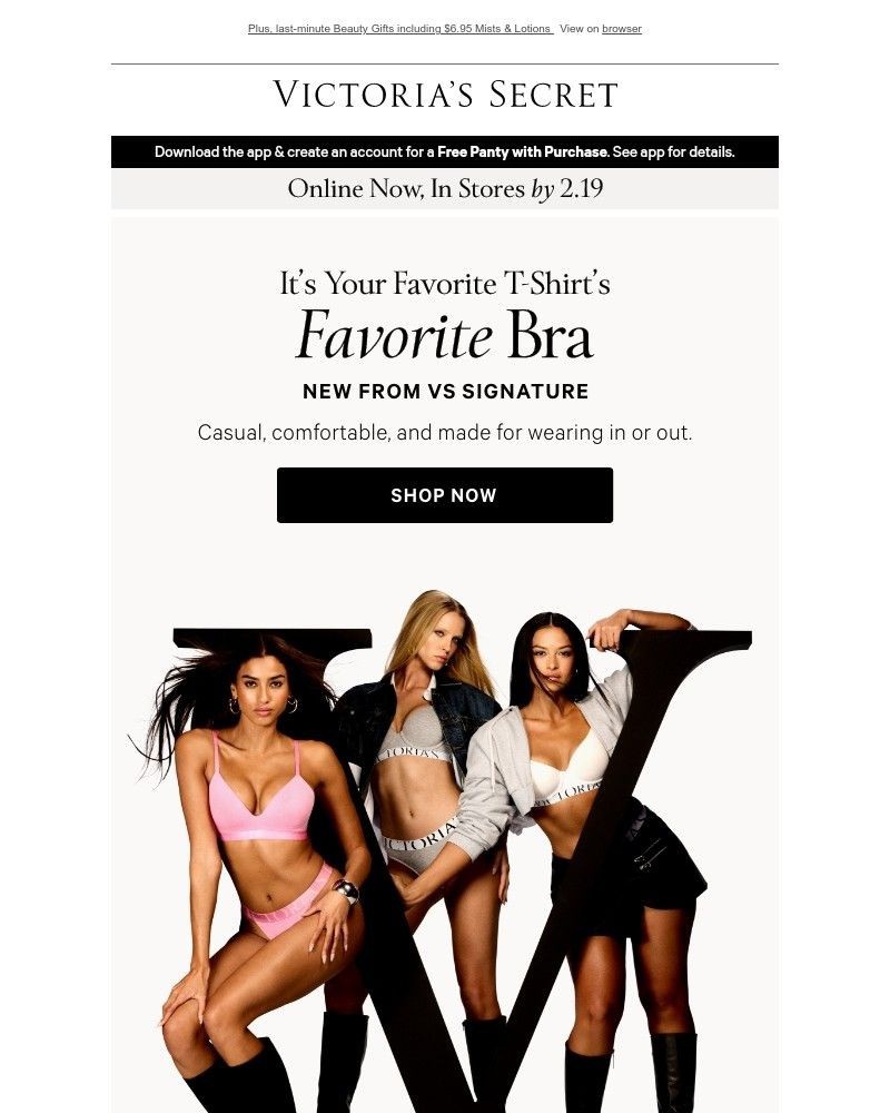 Screenshot of email with subject /media/emails/new-t-shirt-bras-free-shipping-41a031-cropped-3ce2c276.jpg
