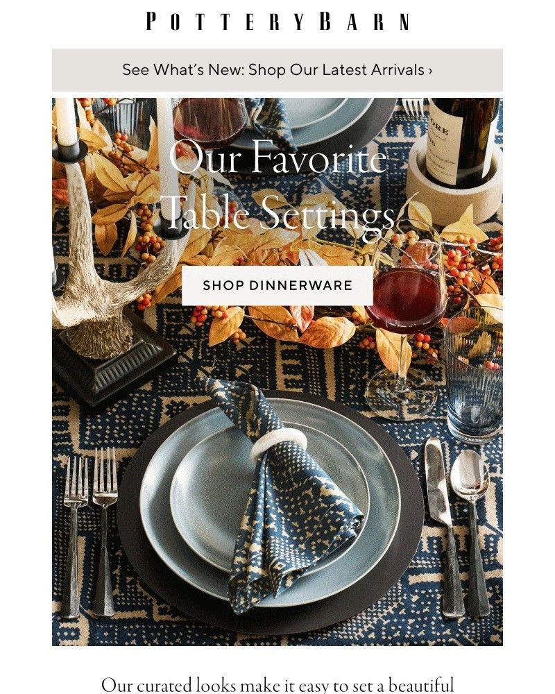 Screenshot of email with subject /media/emails/new-table-setting-inspo-da9d50-cropped-68192608.jpg