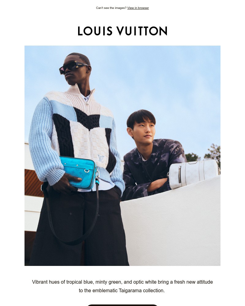 Screenshot of email sent to a Louis Vuitton Newsletter subscriber
