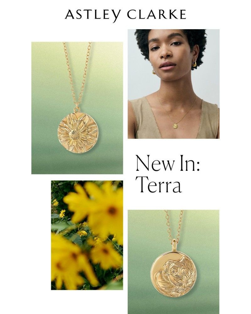 Screenshot of email with subject /media/emails/new-terra-additions-289d8e-cropped-1223b46d.jpg