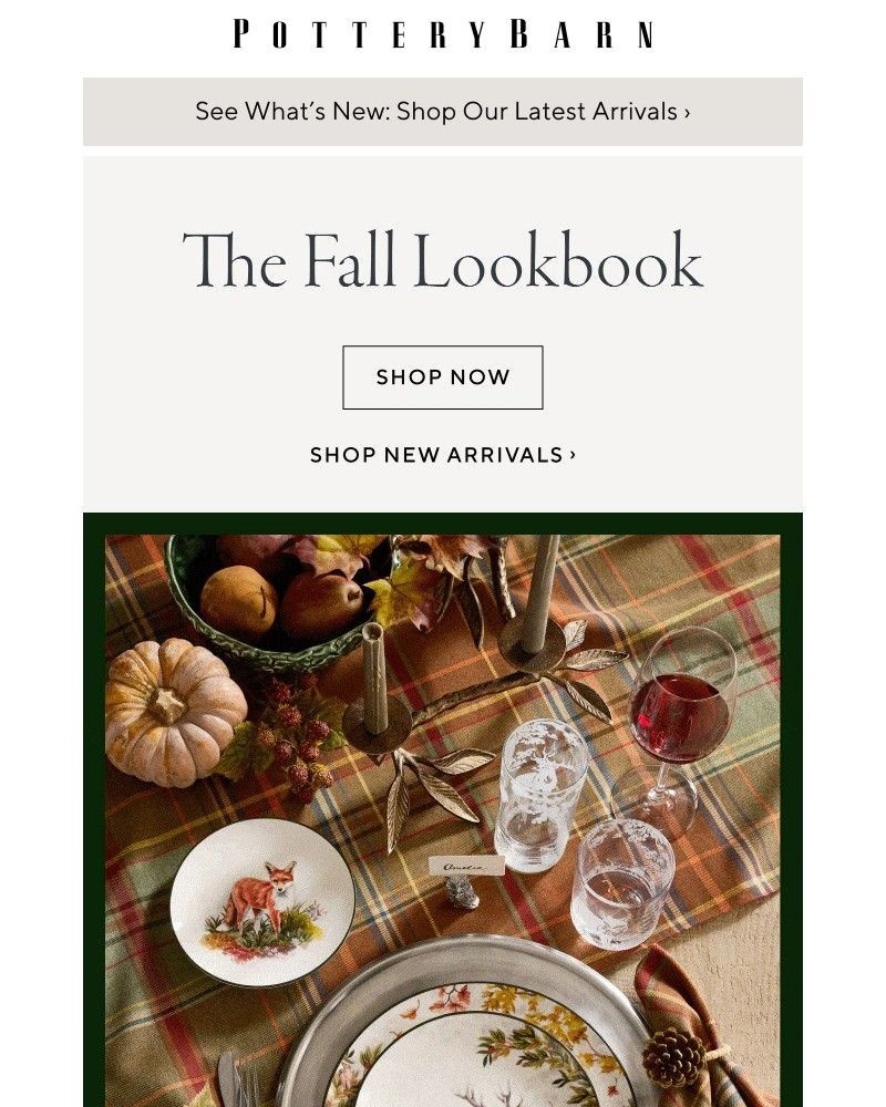 Screenshot of email with subject /media/emails/new-the-fall-lookbook-a7ad44-cropped-2d0fd213.jpg
