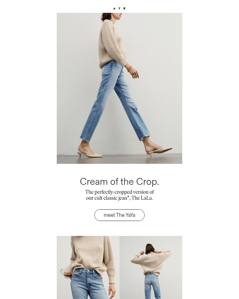 Screenshot of email sent to a AYR Newsletter subscriber