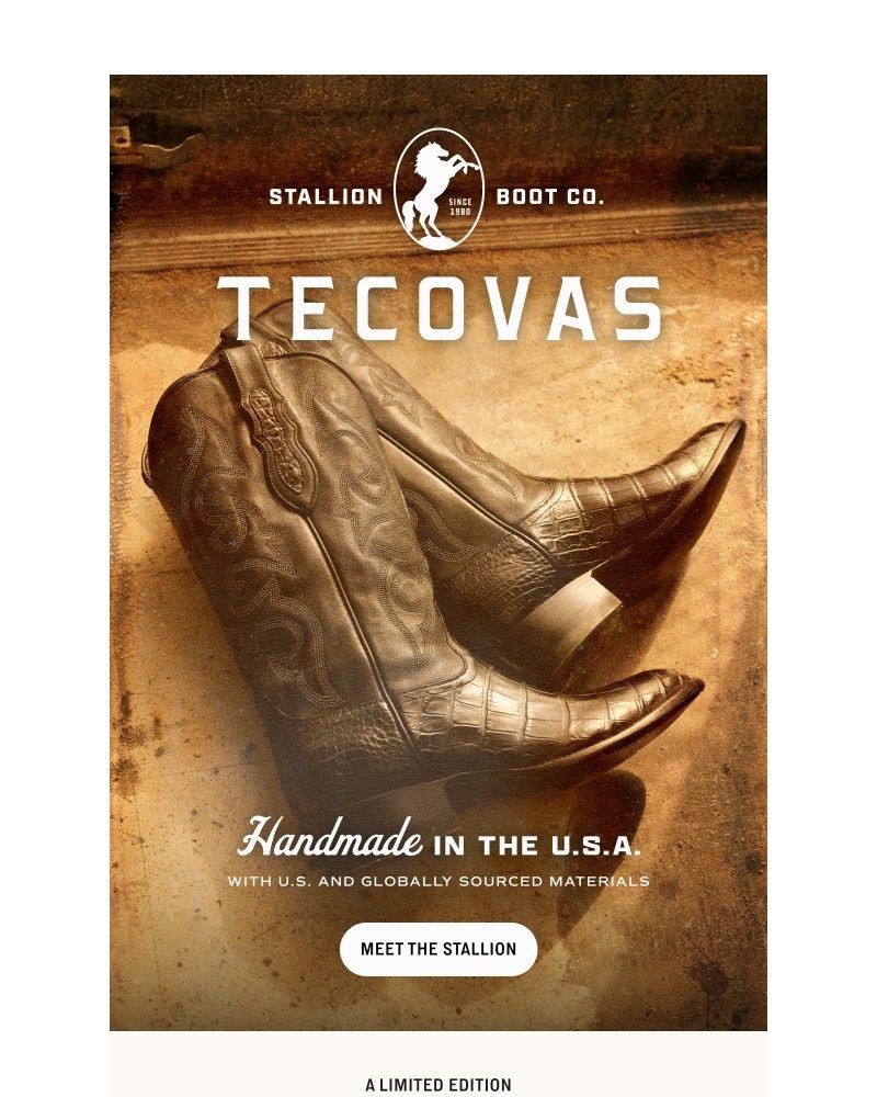 Screenshot of email sent to a Tecovas Newsletter subscriber