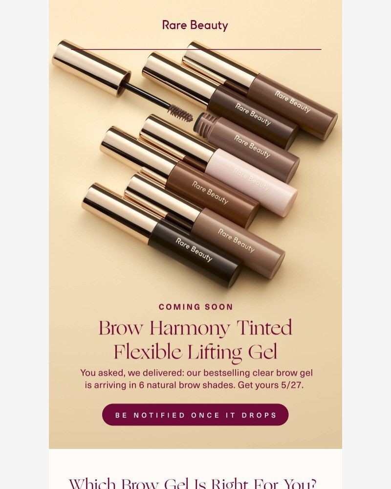 Screenshot of email with subject /media/emails/new-tinted-brow-gel-incoming-842ffd-cropped-3ff77971.jpg