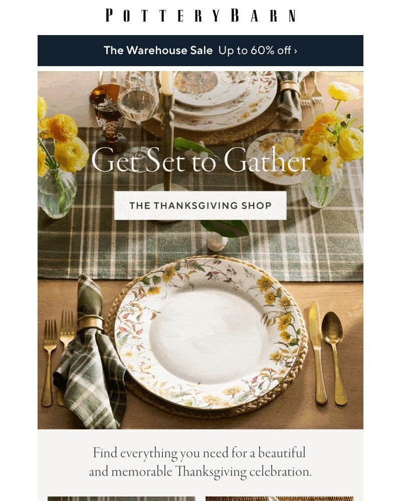 Screenshot of email with subject /media/emails/new-to-sale-up-to-60-off-get-set-to-gather-b4ddcf-cropped-4a613bc3.jpg