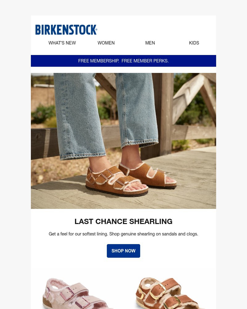 Screenshot of email with subject /media/emails/new-to-shearling-cozy-up-in-last-chance-d45811-cropped-0535fbfb.jpg
