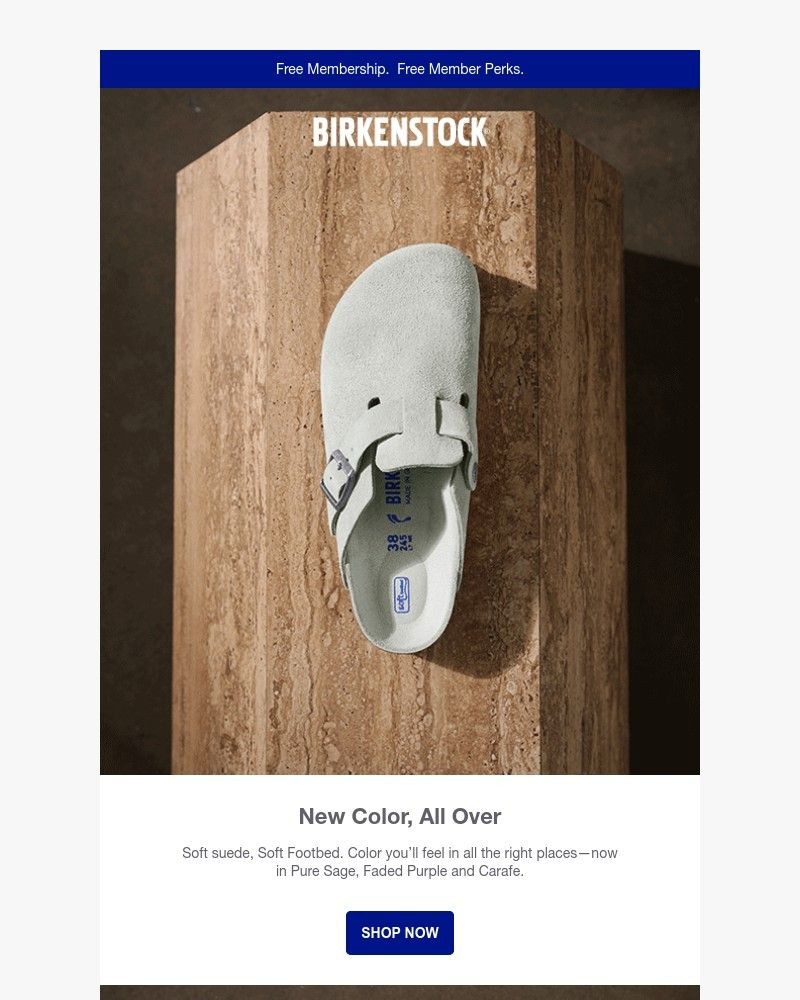 Screenshot of email with subject /media/emails/new-tonal-suede-pure-sage-faded-purple-carafe-2c47bb-cropped-3fca24ca.jpg