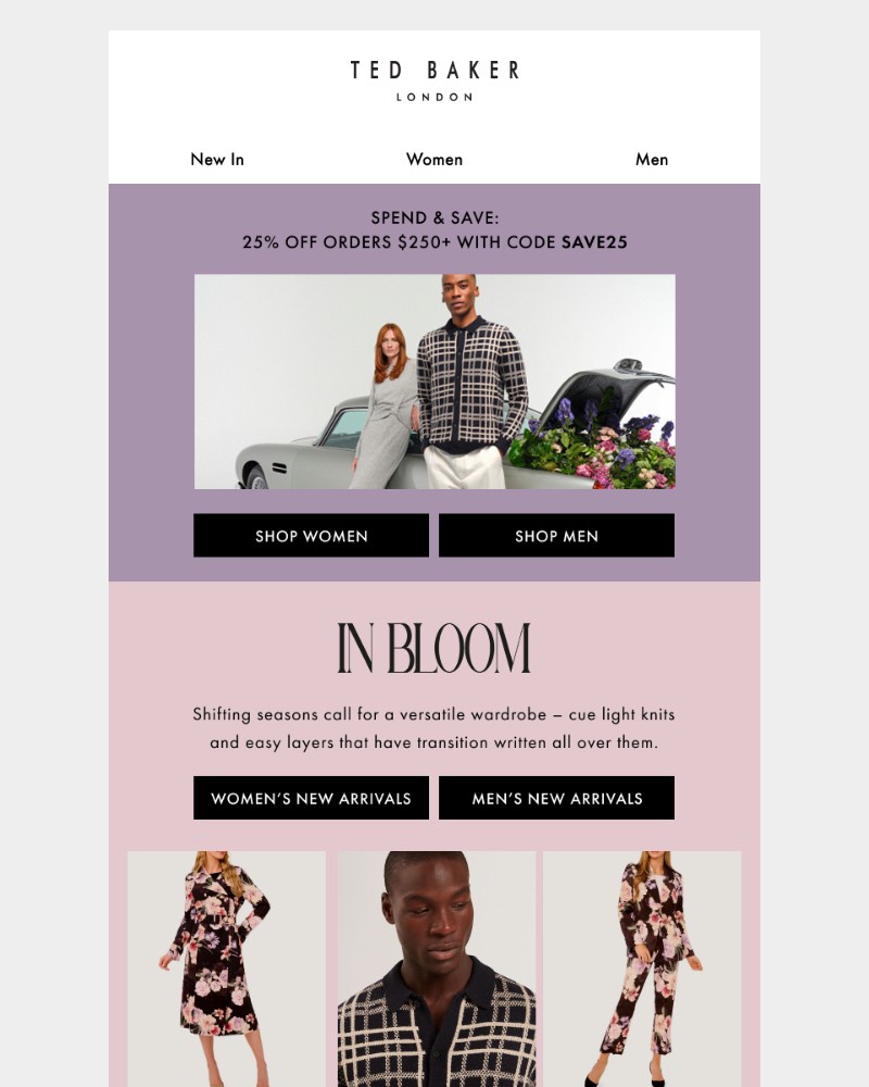 Screenshot of email with subject /media/emails/new-transitional-must-haves-d87dfe-cropped-0b32bf07.jpg