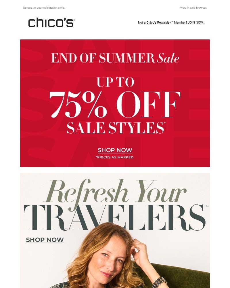 Screenshot of email with subject /media/emails/new-travelerstm-color-4443bd-cropped-be269977.jpg
