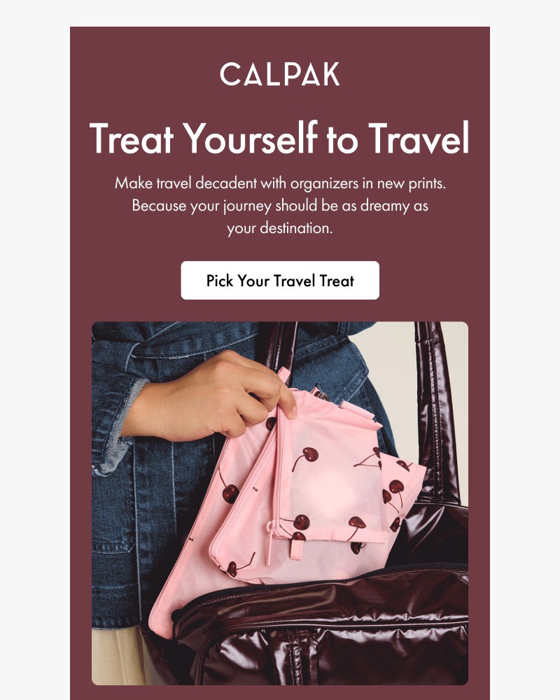 Screenshot of email sent to a Calpak Newsletter subscriber