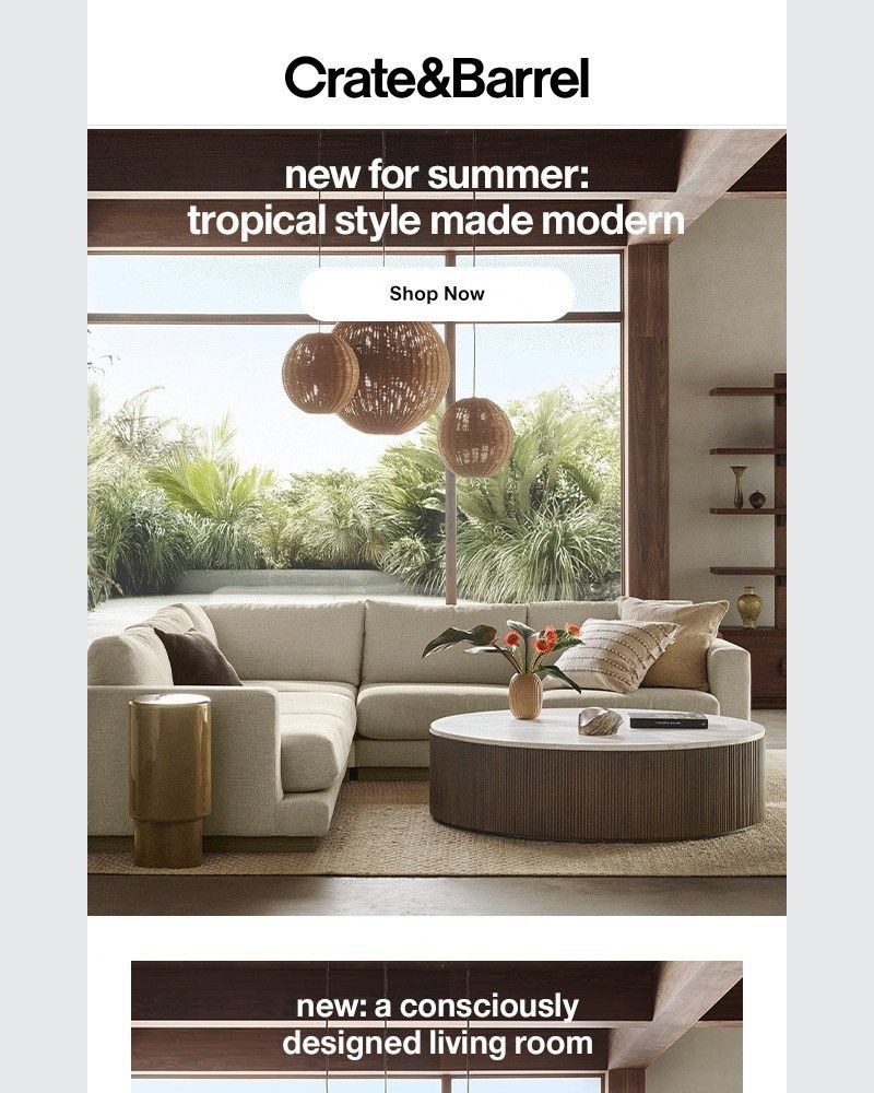 Screenshot of email with subject /media/emails/new-tropical-vibes-just-landed-7d310a-cropped-fab12a66.jpg