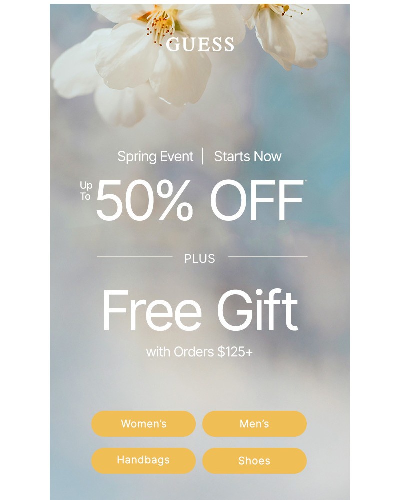 Screenshot of email with subject /media/emails/new-up-to-50-off-gift-0f0997-cropped-0698f891.jpg