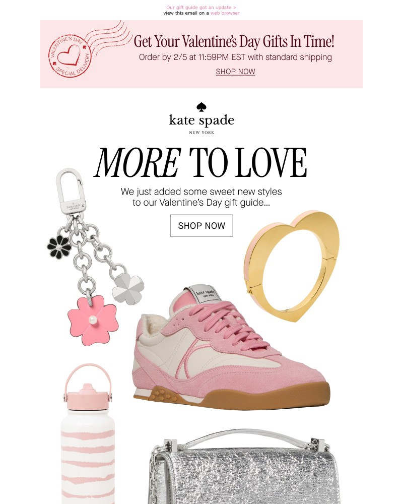 Screenshot of email with subject /media/emails/new-v-day-gifts-added-say-less-0c3835-cropped-1a317333.jpg