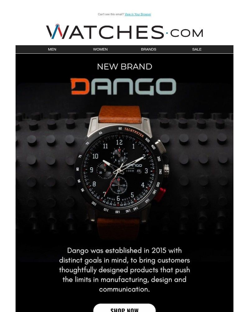 Screenshot of email sent to a Watches.com Newsletter subscriber