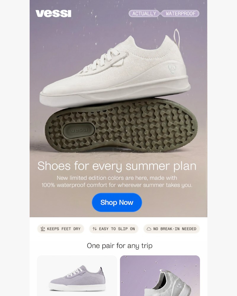 Screenshot of email sent to a Vessi Seller