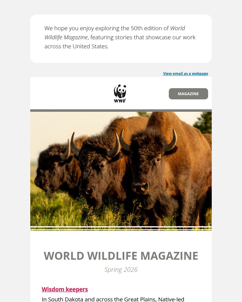 Screenshot of email sent to a World Wildlife Fund Newsletter subscriber