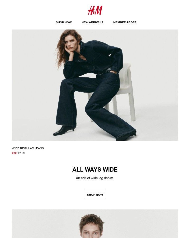 Screenshot of email with subject /media/emails/new-wide-leg-jeans-d03d87-cropped-51ef4547.jpg