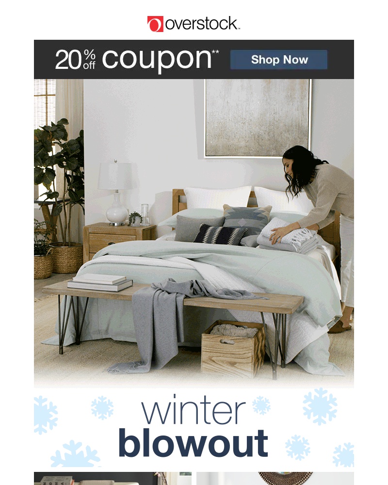 Screenshot of email with subject /media/emails/new-year-new-sale-winter-blowout-is-here-cropped-2b73ee15.jpg