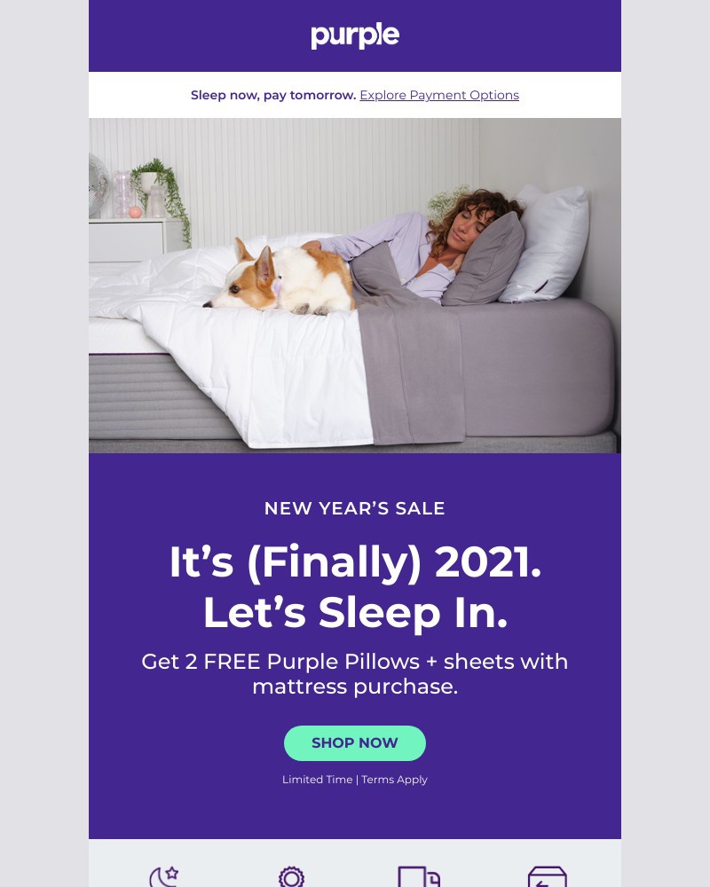 Screenshot of email with subject /media/emails/new-years-sale-get-2-free-pillows-today-bbe4ba-cropped-876de302.jpg