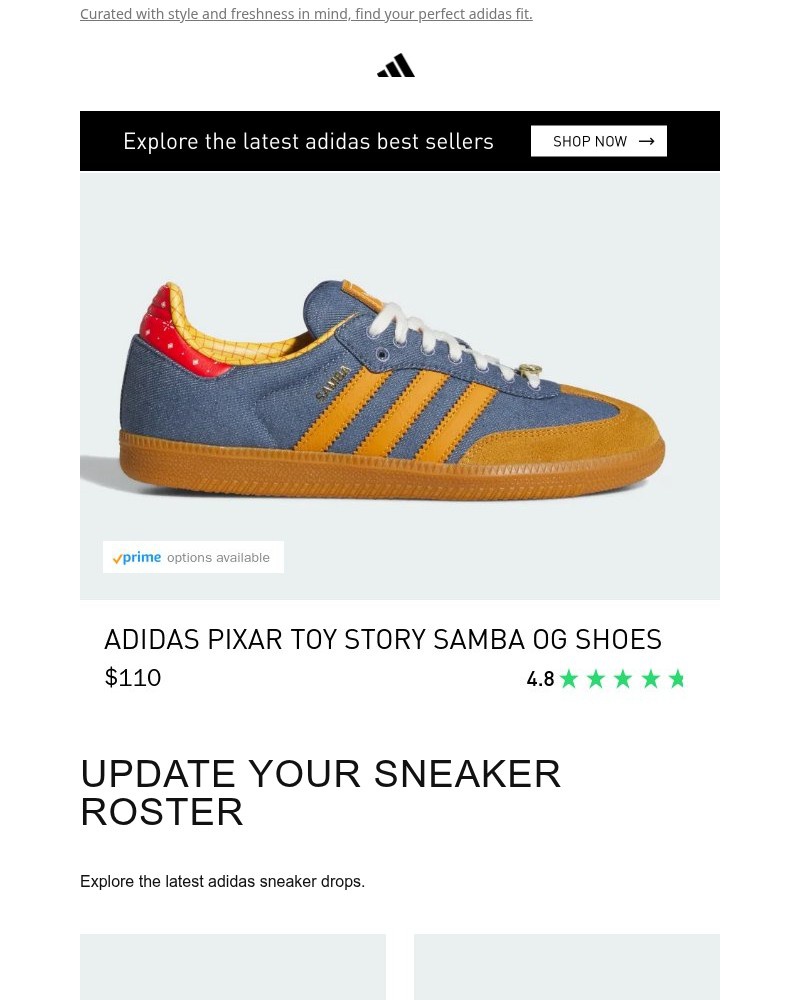 Screenshot of email sent to a Adidas Newsletter subscriber