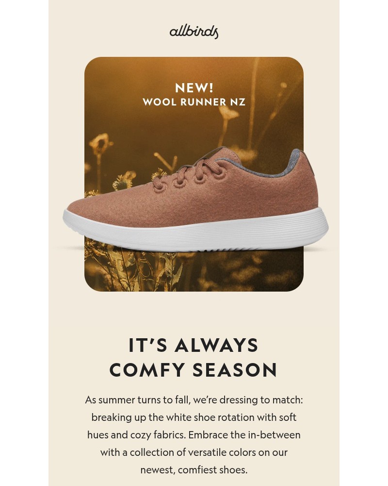 Screenshot of email with subject /media/emails/newest-shoes-in-season-right-hues-ee2438-cropped-1cc078a4.jpg