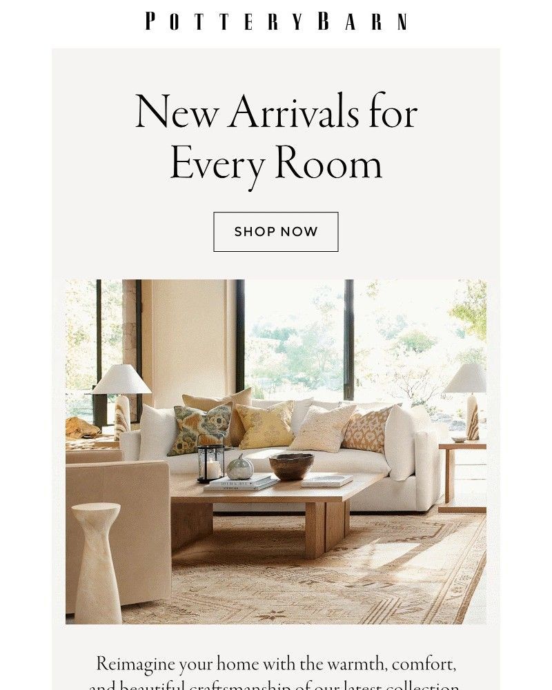 Screenshot of email with subject /media/emails/newness-across-the-home-3e2392-cropped-61f82809.jpg