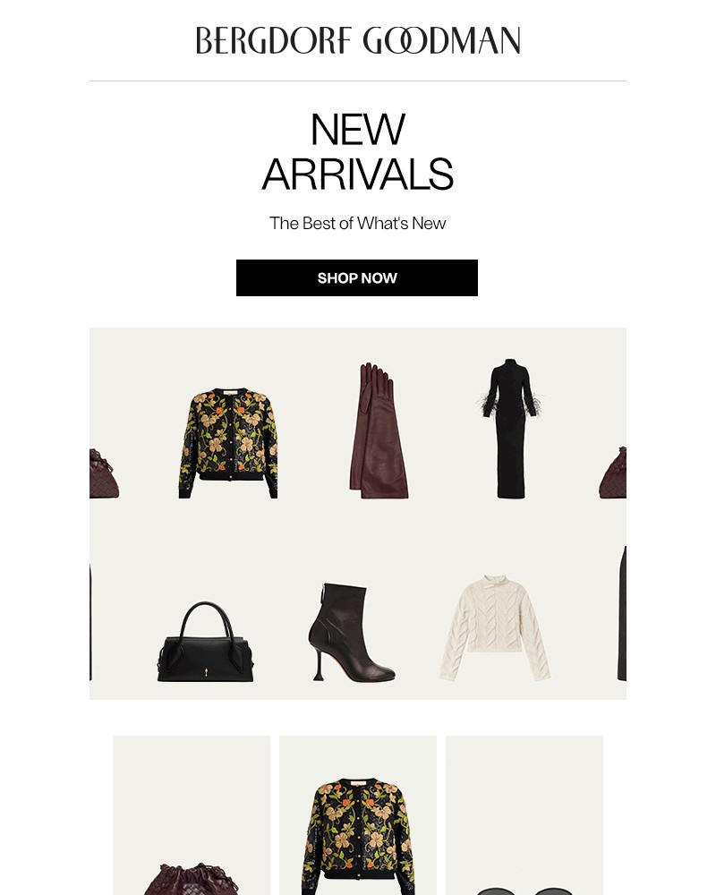 Screenshot of email with subject /media/emails/newness-report-this-just-in-196dd2-cropped-d591af88.jpg