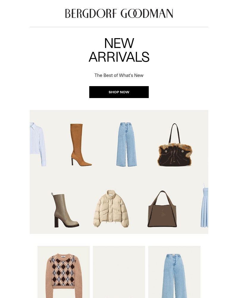 Screenshot of email with subject /media/emails/newness-report-this-just-in-b3db20-cropped-16fc051f.jpg